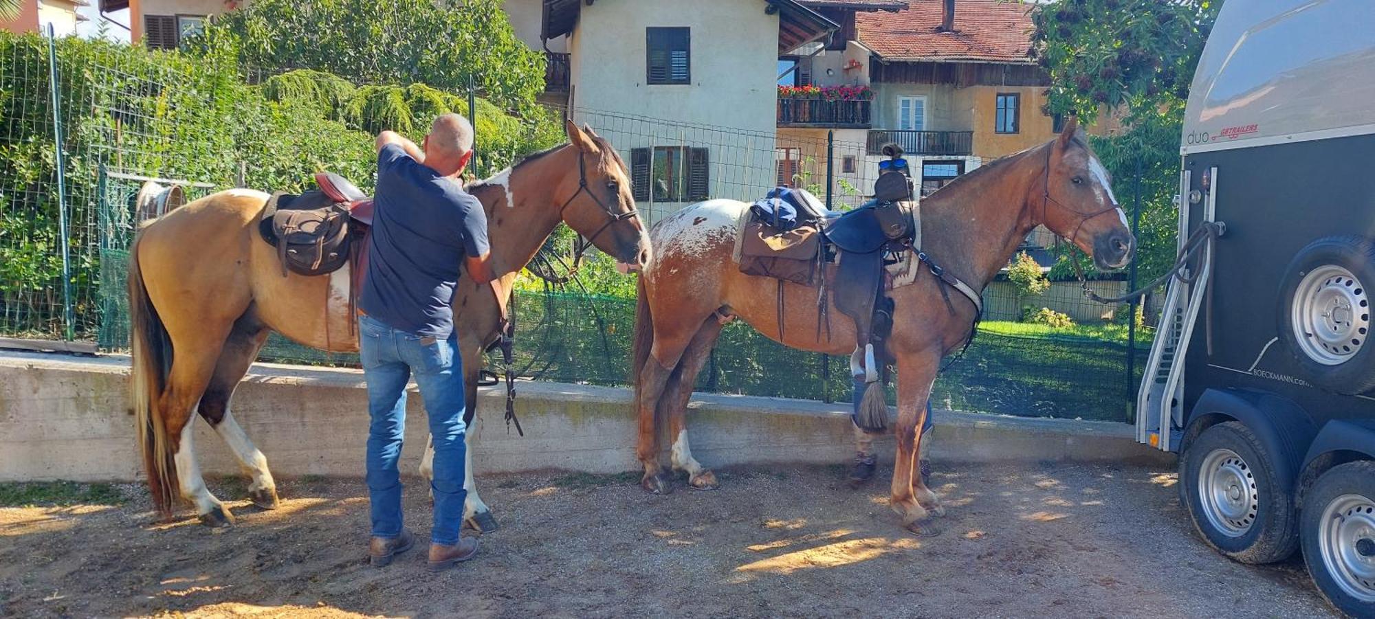 Horse House Bed & Breakfast Romallo Exterior foto