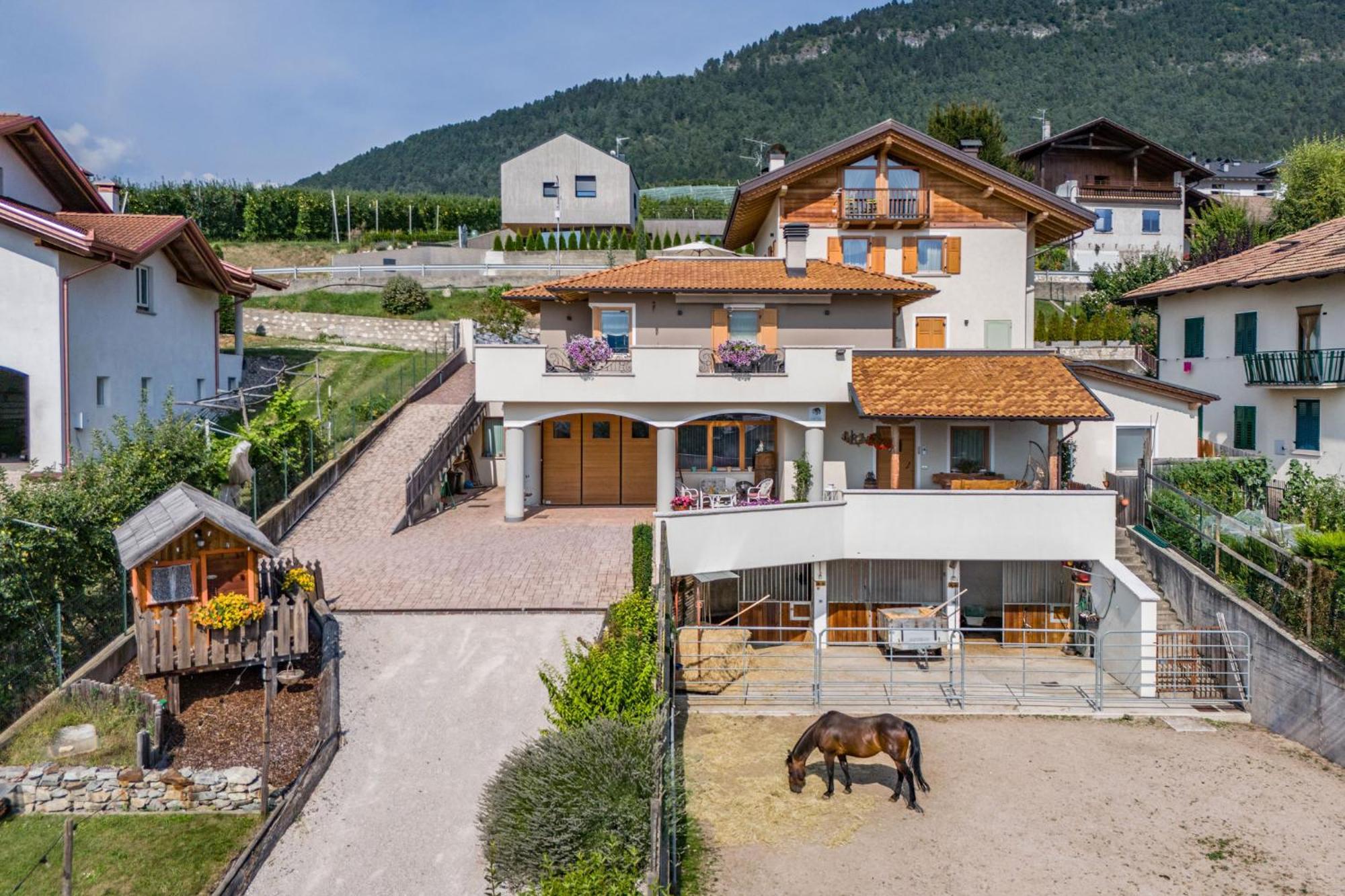 Horse House Bed & Breakfast Romallo Exterior foto